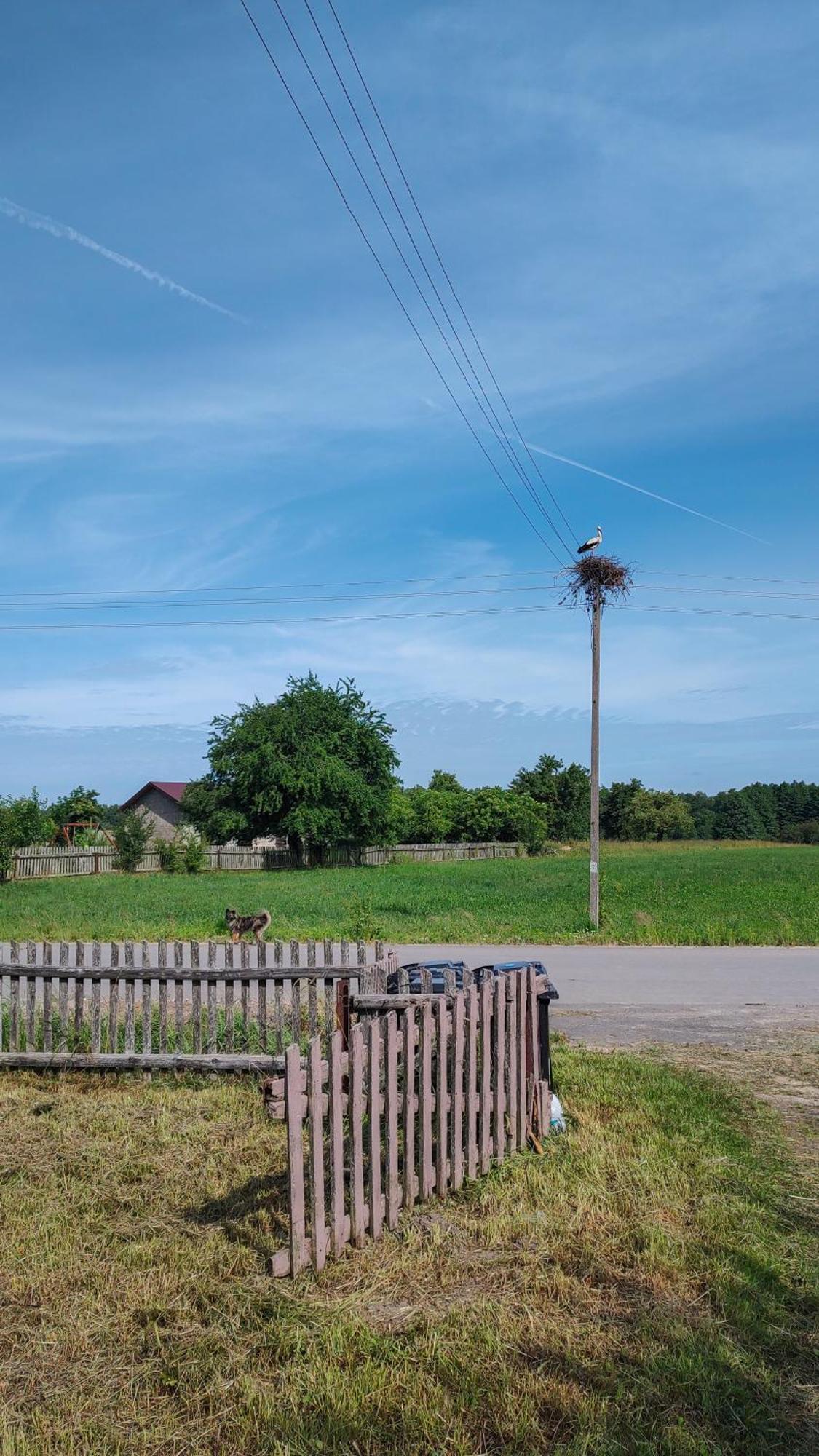 Domek Z Ogrzewaniem Podlogowym Wyszki Esterno foto